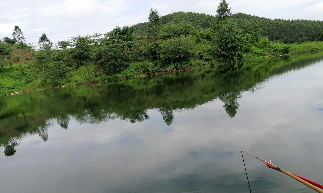 河流台钓调漂技巧（提升钓鱼效果的实用技巧）