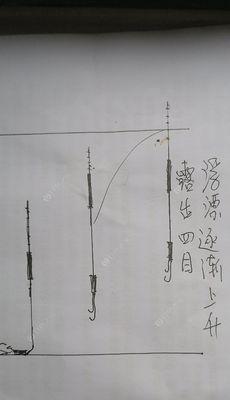 河流野钓调漂技巧教程（掌握调漂技巧）