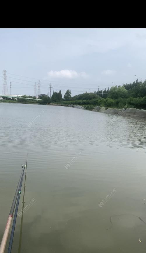 河流渔场垂钓技巧大揭秘（提高垂钓成功率）