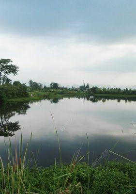 河流闸口钓鱼技巧（掌握技巧）