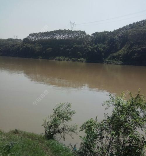 河流涨洪水钓鱼技巧（利用洪水捕获大量鱼类）