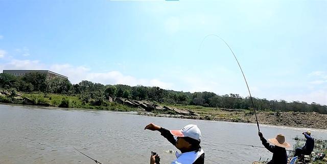 河南野钓钓点选择技巧（掌握关键钓点信息有效提升钓鱼收获）