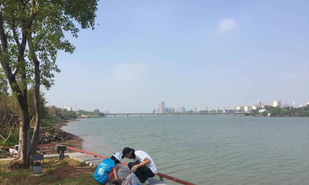 河滩急水钓鱼技巧（掌握流水中的捕获技巧）