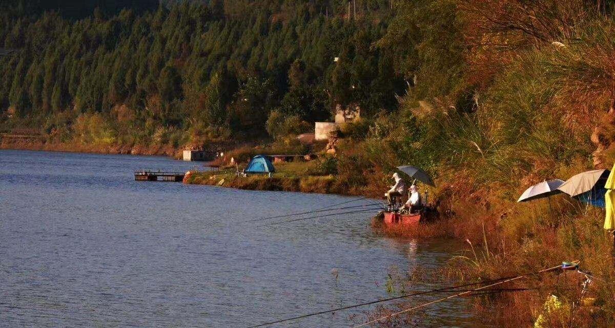 河溪流水钓草鱼技巧与方法（掌握技巧）