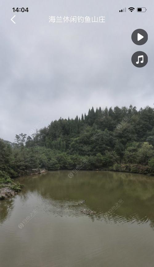 黑坑大棚垂钓技巧（掌握垂钓技巧）