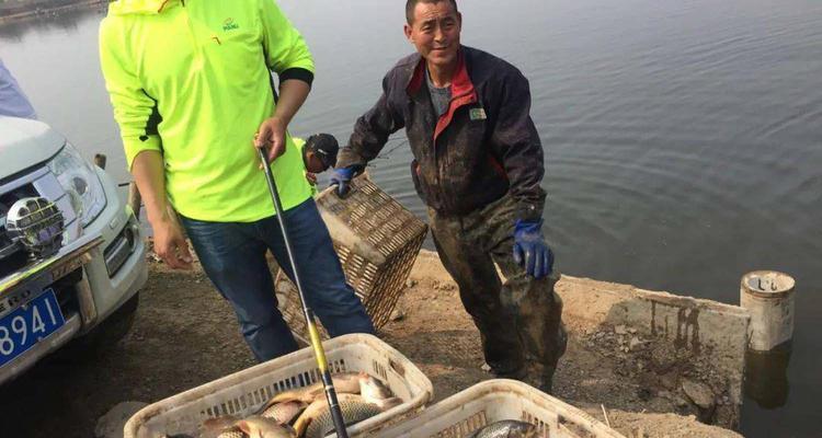 黑坑钓滑口鱼技巧（掌握饵料选择和投放技巧）