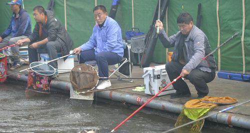 黑坑钓鲤鱼浮水技巧与方法（掌握浮水钓鲤鱼的技巧）