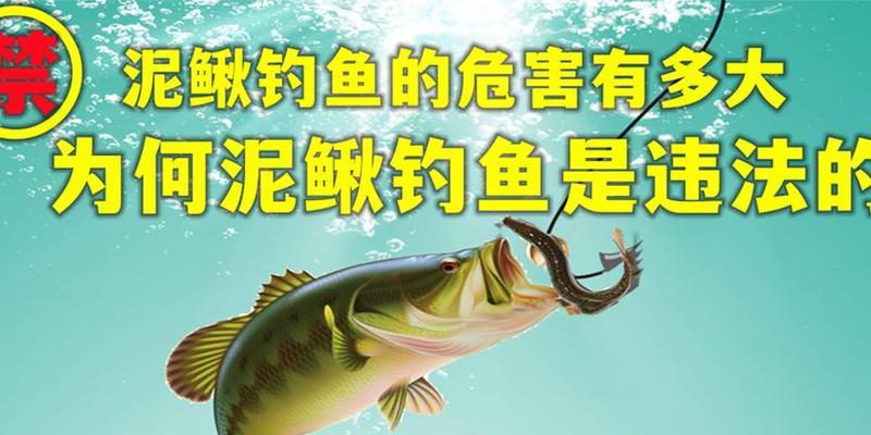 活泥鳅钓鱼技巧与方法（掌握钓鱼技巧）