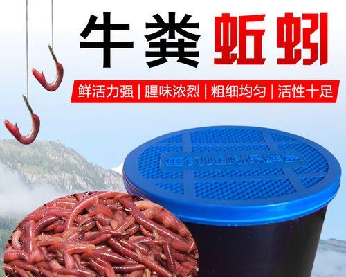 活蚯蚓饵钓鱼技巧（提高钓鱼效果的关键是掌握正确的活蚯蚓使用方法）