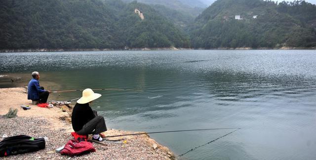 活水无漂钓鱼技巧（钓鱼技巧分享）
