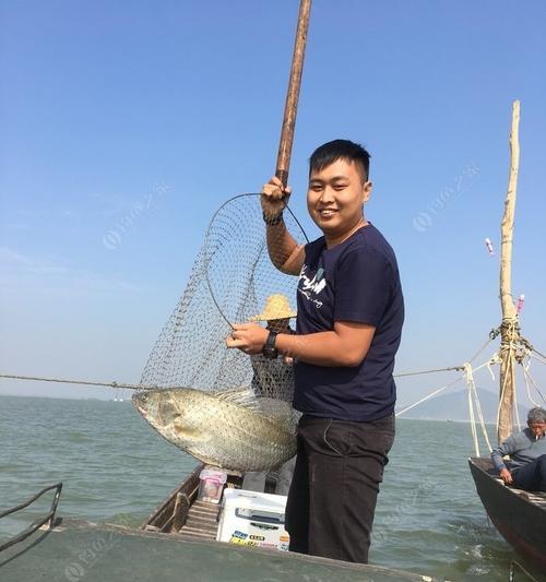 活虾挂钩钓鱼技巧（掌握关键技巧）