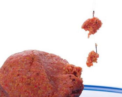 1.活鱼饵的选择及准备