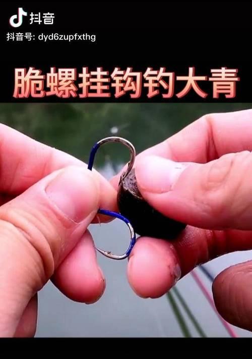 1.活鱼饵的选择及准备