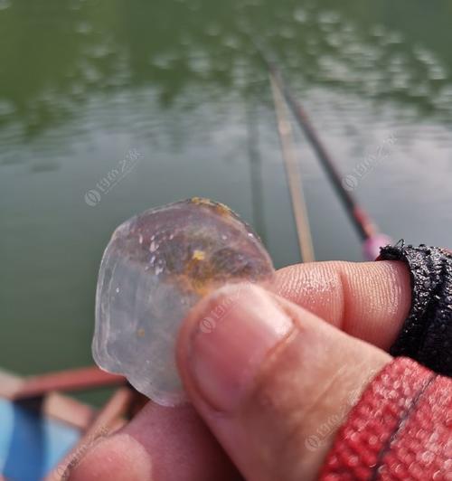 钓鱼技巧教程（学习钓鱼技巧）