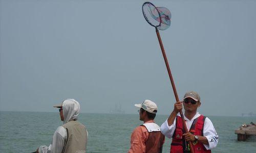 钓鱼技巧教程（学习钓鱼技巧）