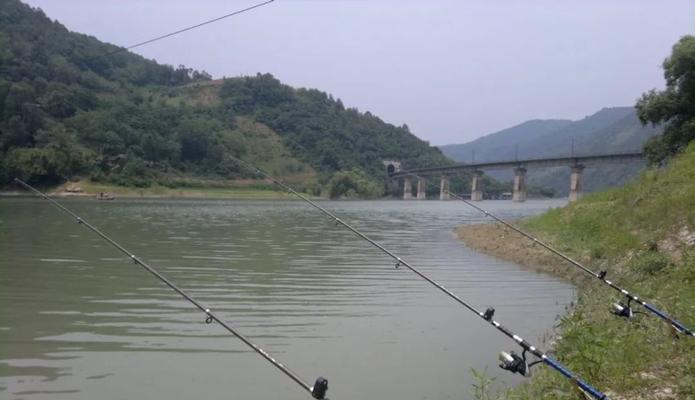 矶钓竿绑钩技巧（提高钓鱼效果的关键是细致入微）