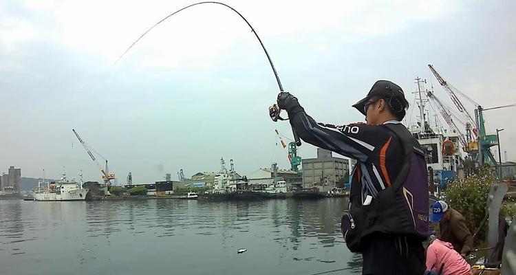 矶钓竿钓鲤鱼的技巧（轻松捕获鲤鱼）
