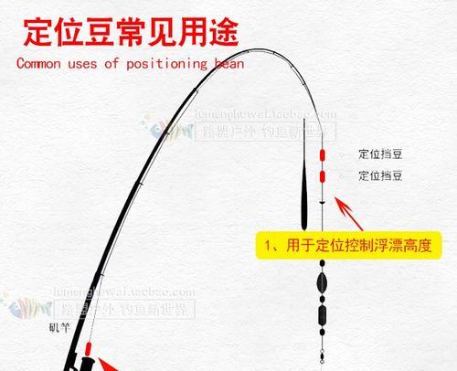 淡水钓鱼技巧——矶竿使用指南（提升钓鱼成功率的关键技巧）