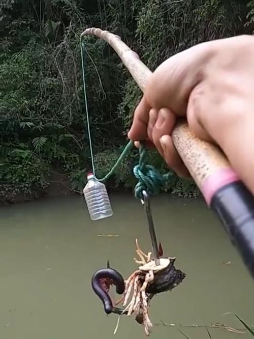 矶竿挂虾钓鱼的技巧与方法（提高钓鱼效果的关键是掌握正确的操作技巧）