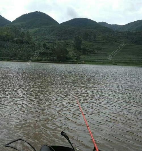 矶竿钓鱼技巧（以矶竿为工具）