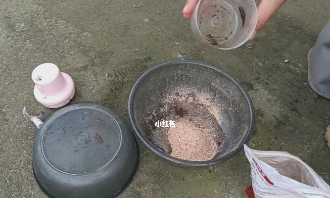 鸡蛋钓鱼绝密技巧（揭秘钓鱼高手的成功秘诀）