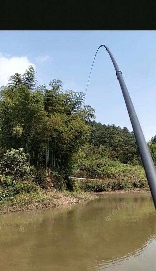 江苏清明钓鱼技巧（江苏清明前后钓鱼的技巧与心得）