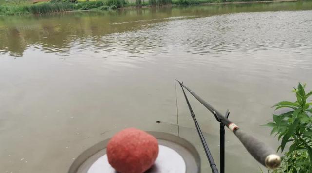 江浙钓鱼的方法和技巧（钓鱼高手教你江浙地区最有效的钓鱼技巧）