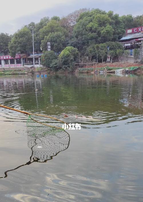 江浙鱼塘钓鱼技巧大揭秘（掌握这些技巧）