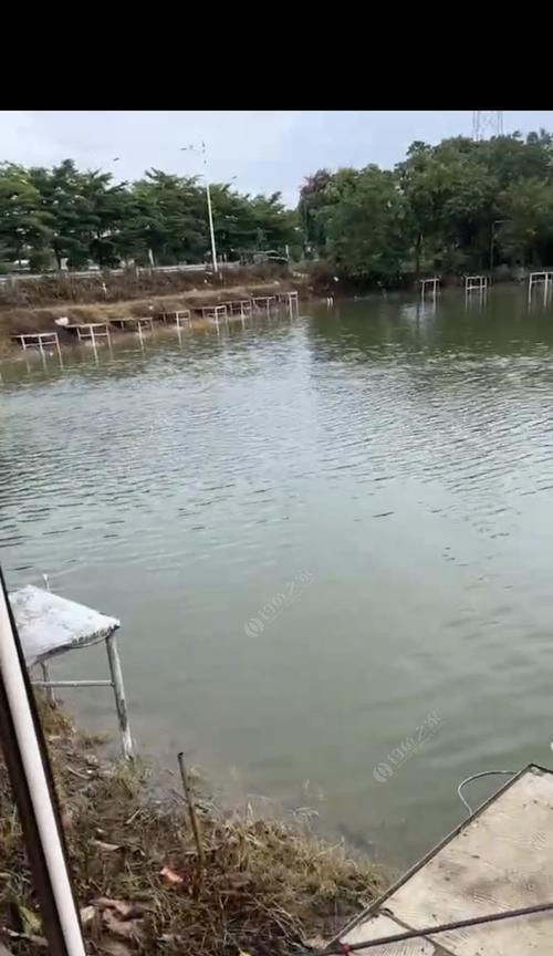 黑坑钓鱼技巧之层特别厚的钓鱼窍门（用一招突破）