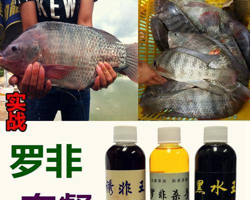 钓鱼小药的选择与使用技巧（让你的钓鱼之旅更加轻松愉快）