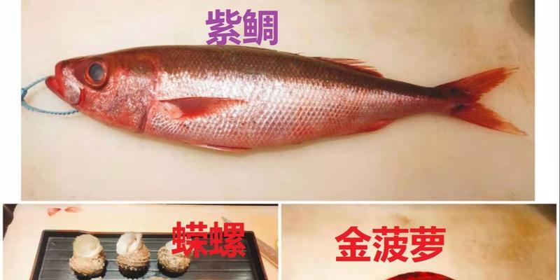 金菠萝钓鱼技巧（掌握这个）