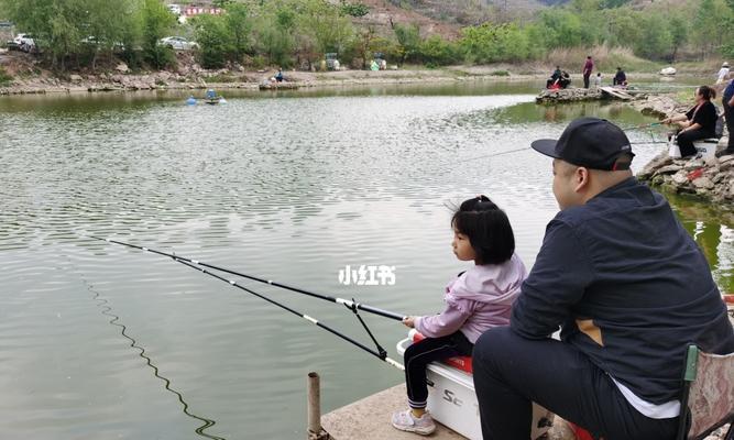 金海湖冬季钓鱼技巧（冬季钓鱼技巧揭秘）