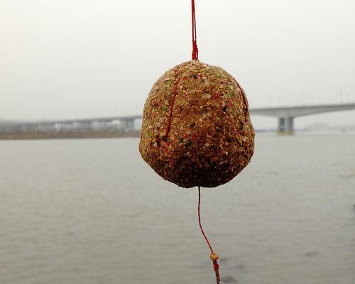 金龙谷水库钓鱼技巧与方法（探秘钓鱼圣地）