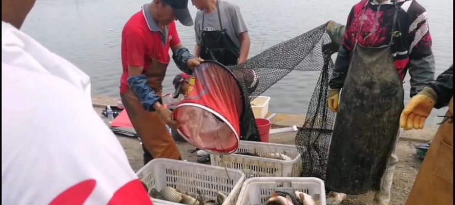 静海花园钓鱼技巧大揭秘（海钓技巧）