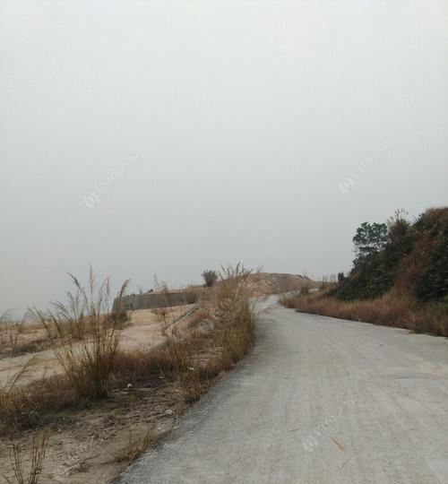 九龙湖垂钓技巧（揭秘九龙湖垂钓技巧）