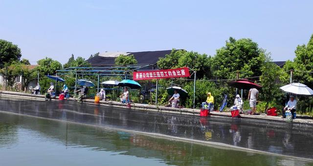 九阴里钓鱼技巧（探秘九阴里的钓鱼技巧）