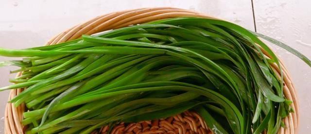 韭菜下竿钓鱼的技巧（用韭菜作鱼饵）
