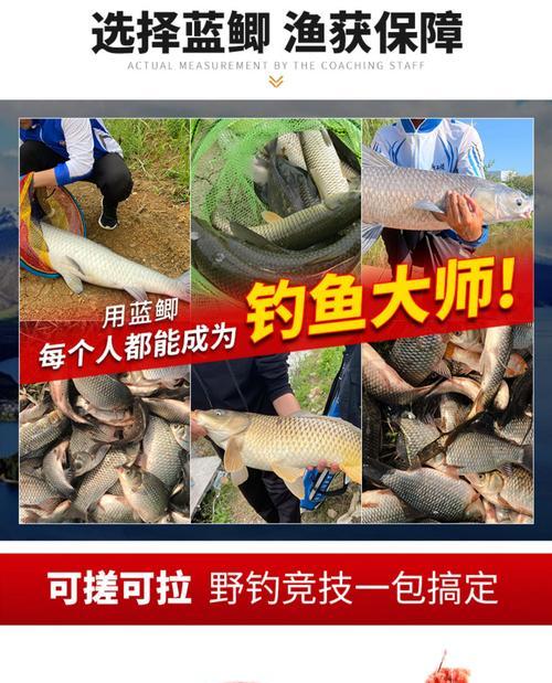 以酒米钓鱼绝密技巧（探秘钓鱼新境界）