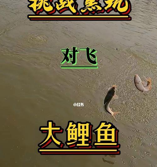 立秋后北方钓鱼技巧（北方钓鱼攻略）