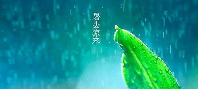 立秋小雨天钓鱼技巧（挑选合适的钓点）