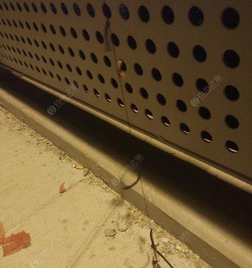 立秋雨夜钓鱼技巧指南（探秘立秋雨夜钓鱼的窍门）