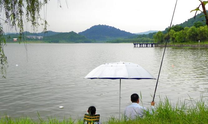 立夏钓鱼技巧（享受立夏钓鱼的乐趣）