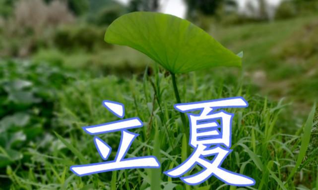 立夏后的钓鱼技巧（掌握钓鱼技巧）