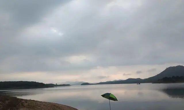 丽水钓鱼压线技巧（技巧掌握）