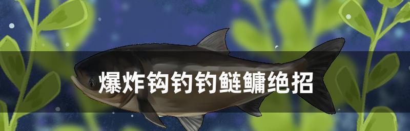 鲢鱼野钓技巧大揭秘（迎接挑战享受钓鱼乐趣）