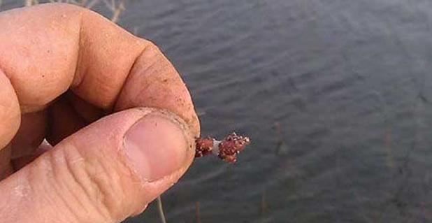 凉水河连沟钓鱼技巧与方法（挑战寒冬）