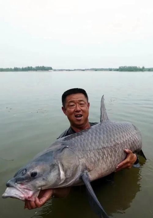 两位竞钓大师饵料钓鱼技巧（超级钓鱼秘籍）