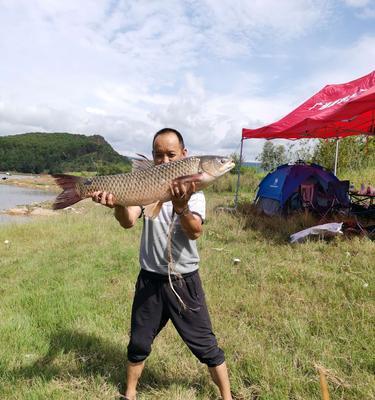 辽宁抚顺水库海杆钓鱼技巧（探秘辽宁抚顺水库海杆钓鱼的窍门与技巧）