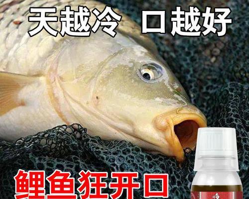 临朐春季钓鱼技巧（掌握春季水域温度变化）