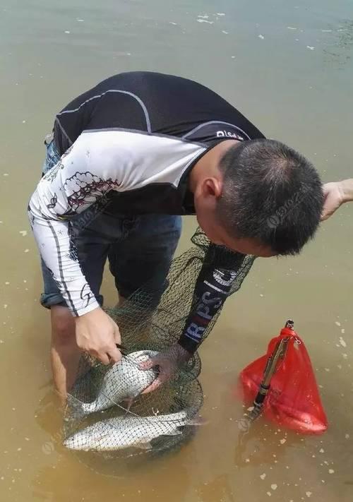 冬季零下三度抛竿钓鲫鱼技巧（冬日捕鲫之道）